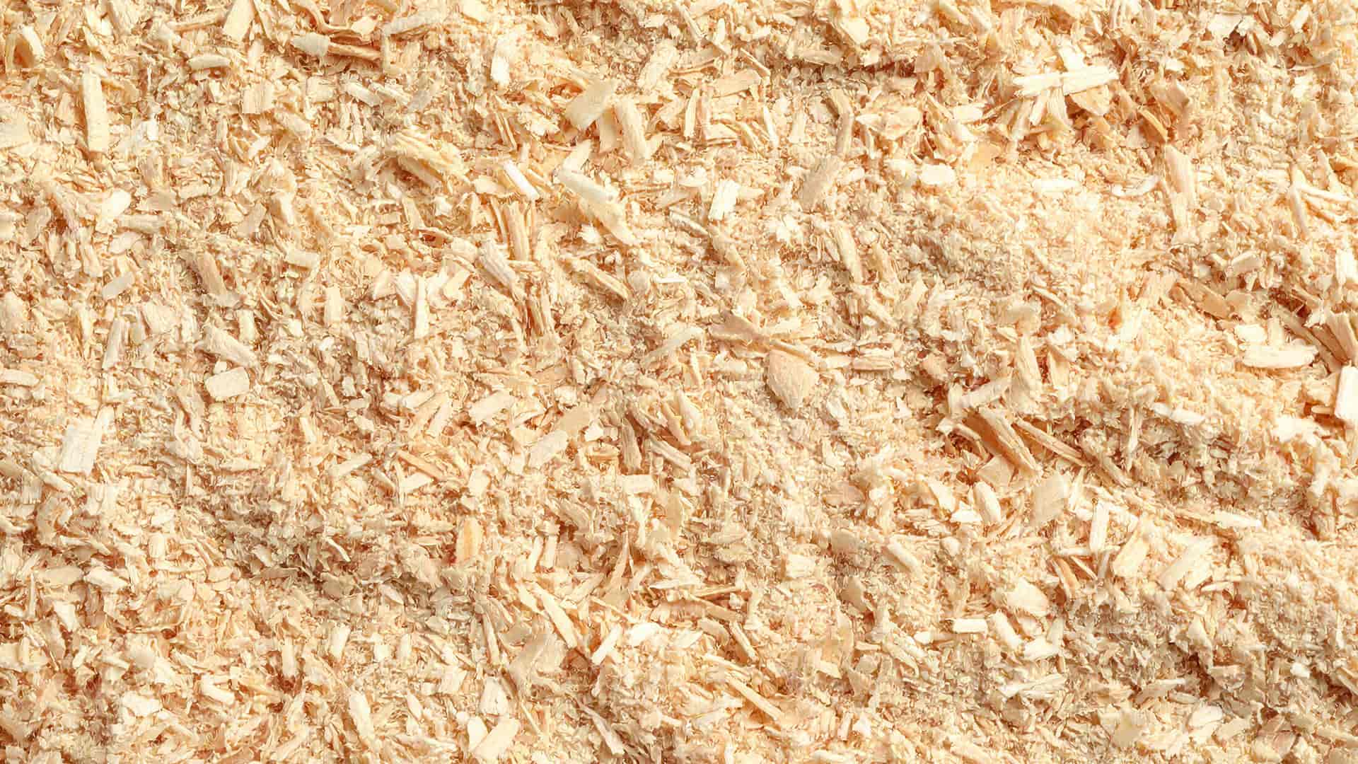 Discount Stump Removal Background