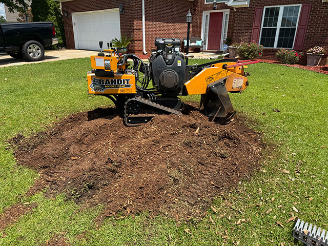 Stump grinding