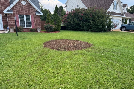 Kathleen, GA