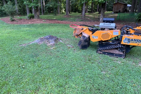 Stump Removal in Gray, GA