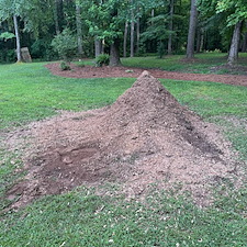 Stump Removal Gray, GA 0