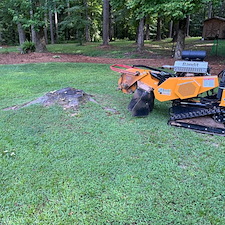 Stump Removal Gray, GA 1