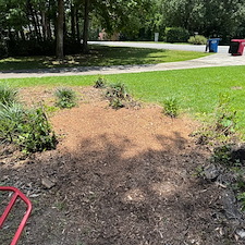 Stump Removal Macon, GA 0