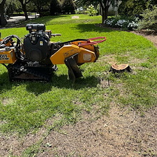 Stump Removal Macon, GA 1