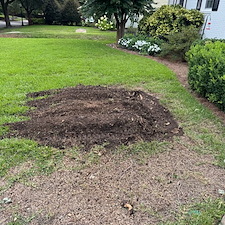 Stump Removal Macon, GA 2