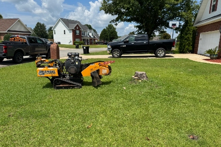 Stump Removal in Warner Robins, GA