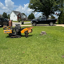 Stump Removal Warner Robins, GA 0