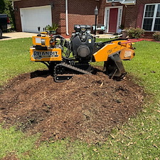 Stump Removal Warner Robins, GA 2