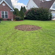 Stump Removal Warner Robins, GA 3