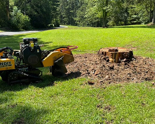 Stump Grinding